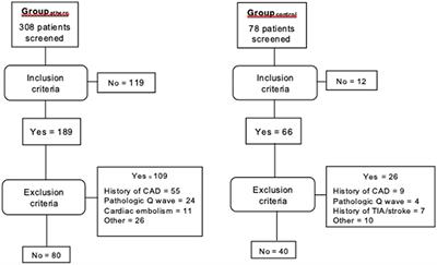 Ischemic stroke caused by large-artery atherosclerosis: a red flag for subclinical coronary artery disease